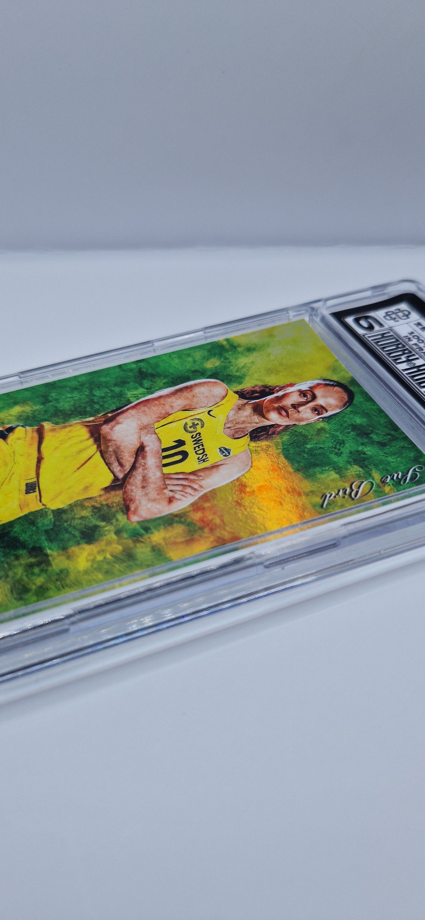 [CANVAS] SUE BIRD