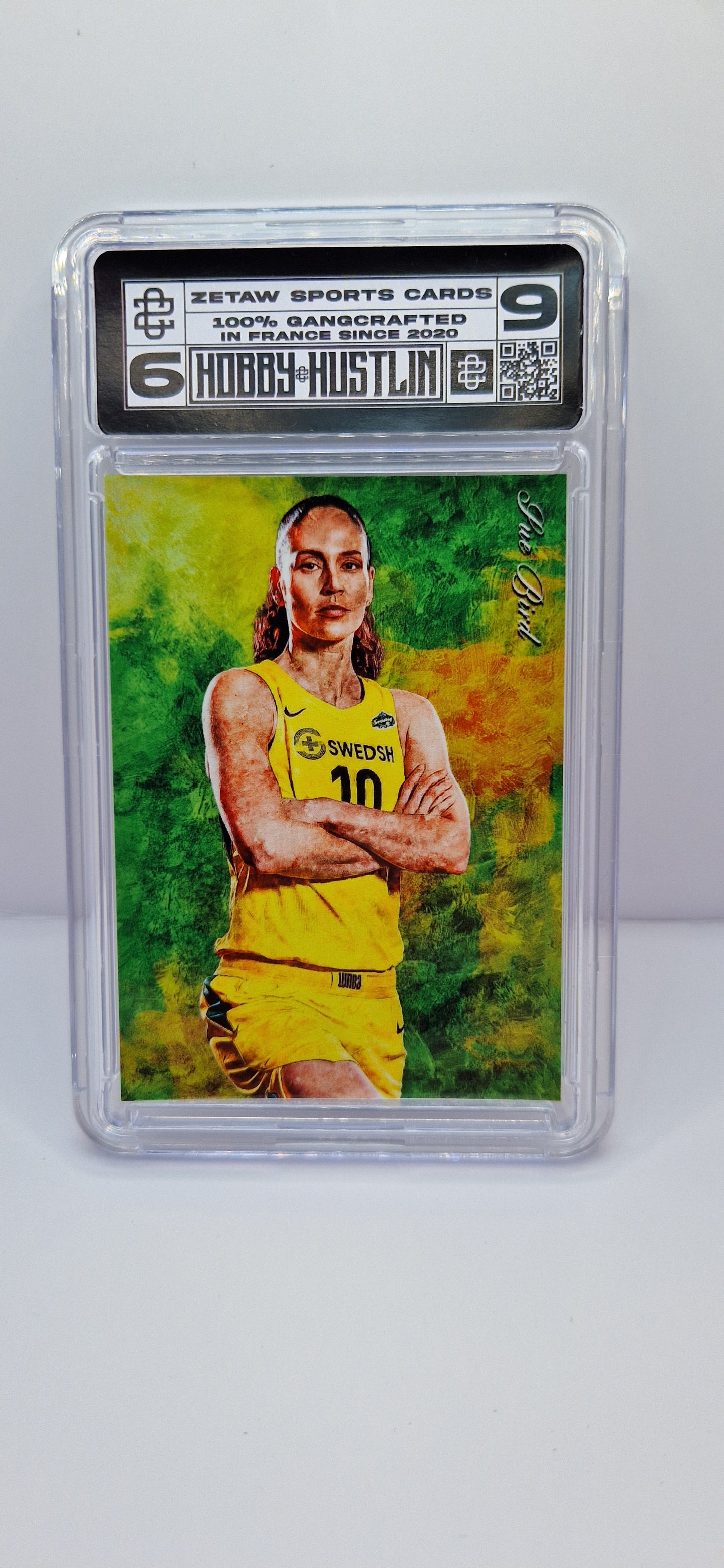 [CANVAS] SUE BIRD